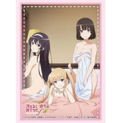 Bushiroad Sleeves Vol.3402 Saekano (75 Sleeves)