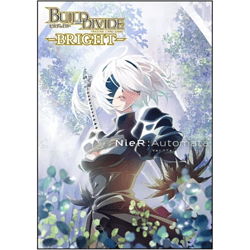 Build Divide: NieR Automata Ver1.1a - Display - japanisch